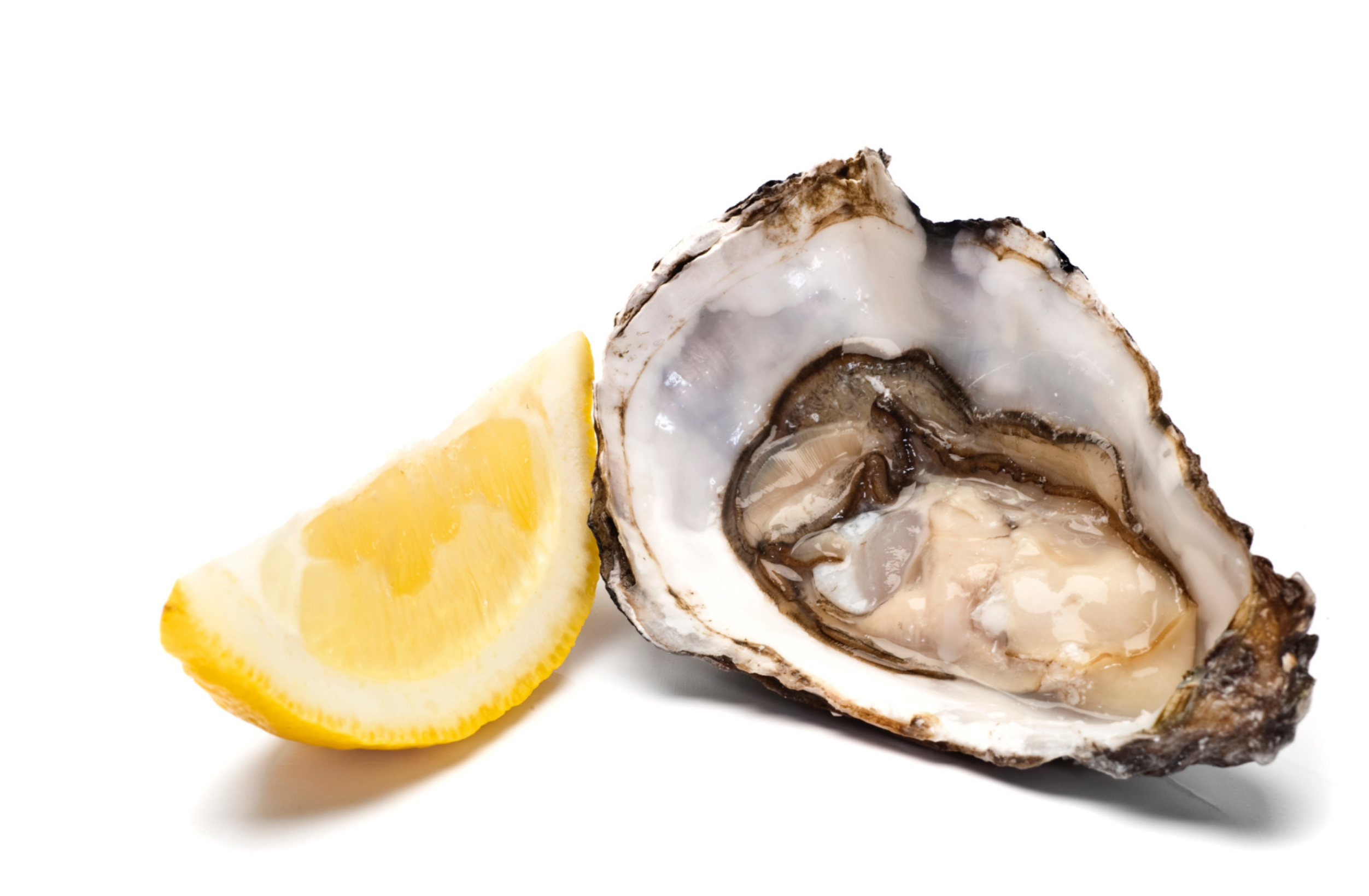Uma images de ostras com limão